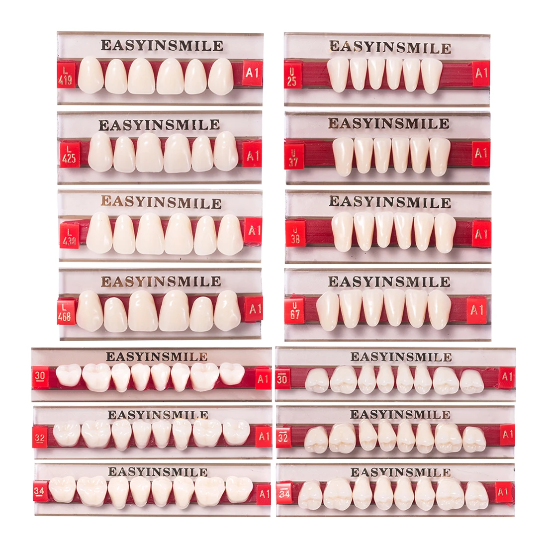 16/12 Sets Dental dentures teeth acrylic A2 resin teeth upper anterior A3 2 layers Dental Education Model