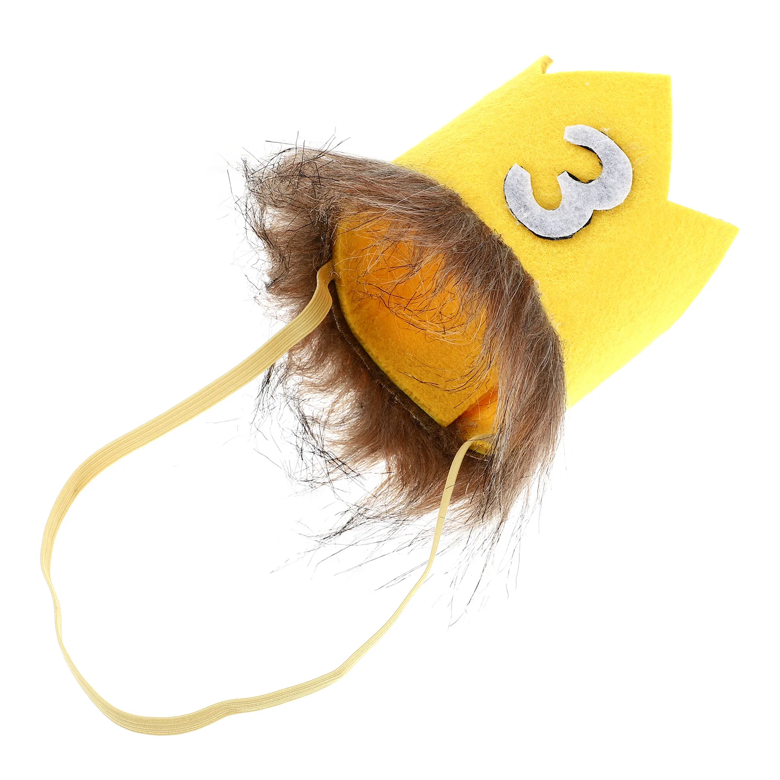 

Pet 's Birthday Hat Hats Crowns for Classroom Polyester