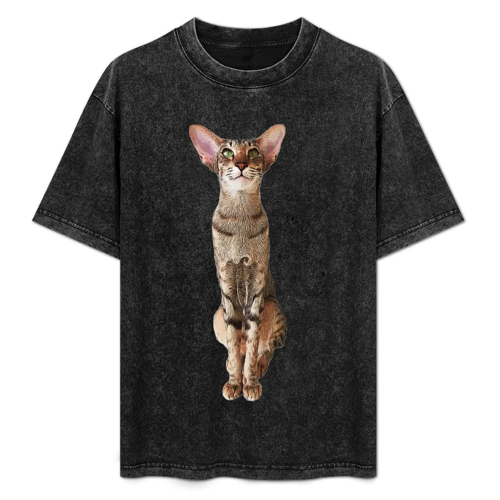 

Oriental Cat Cute Tabby Kitten T-Shirt new gifts and t-shirts baggy shirts Clothing men t shirts