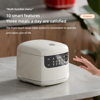 Mini 2L Student Dormitory Cooking Appliance Multi functional Rice Cooker for Home Use, US Standard 110V, European Standard 220V