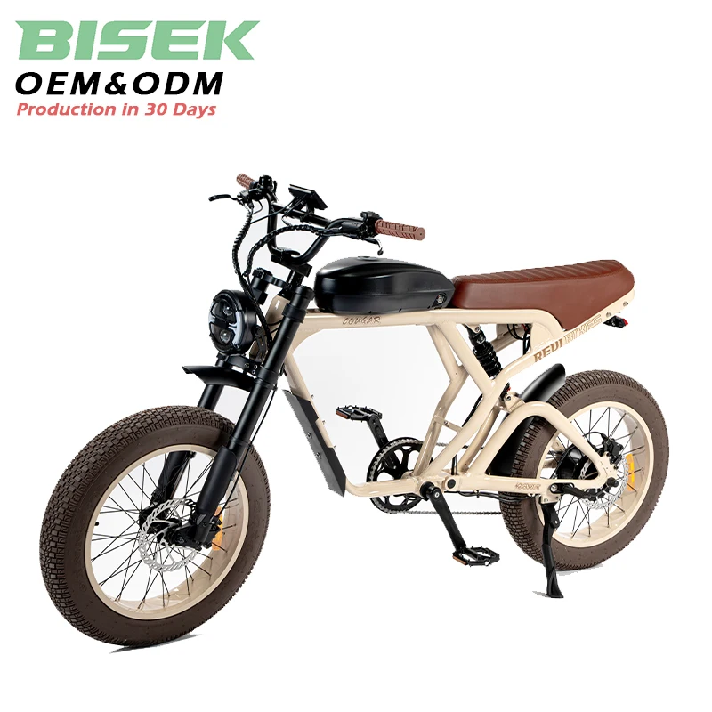 Clrak  Shock Absorbing E-MTB for Off Road Riding Vintage Pedelec Long Seat for Two Turning Signal Sport Ebike for Mountain