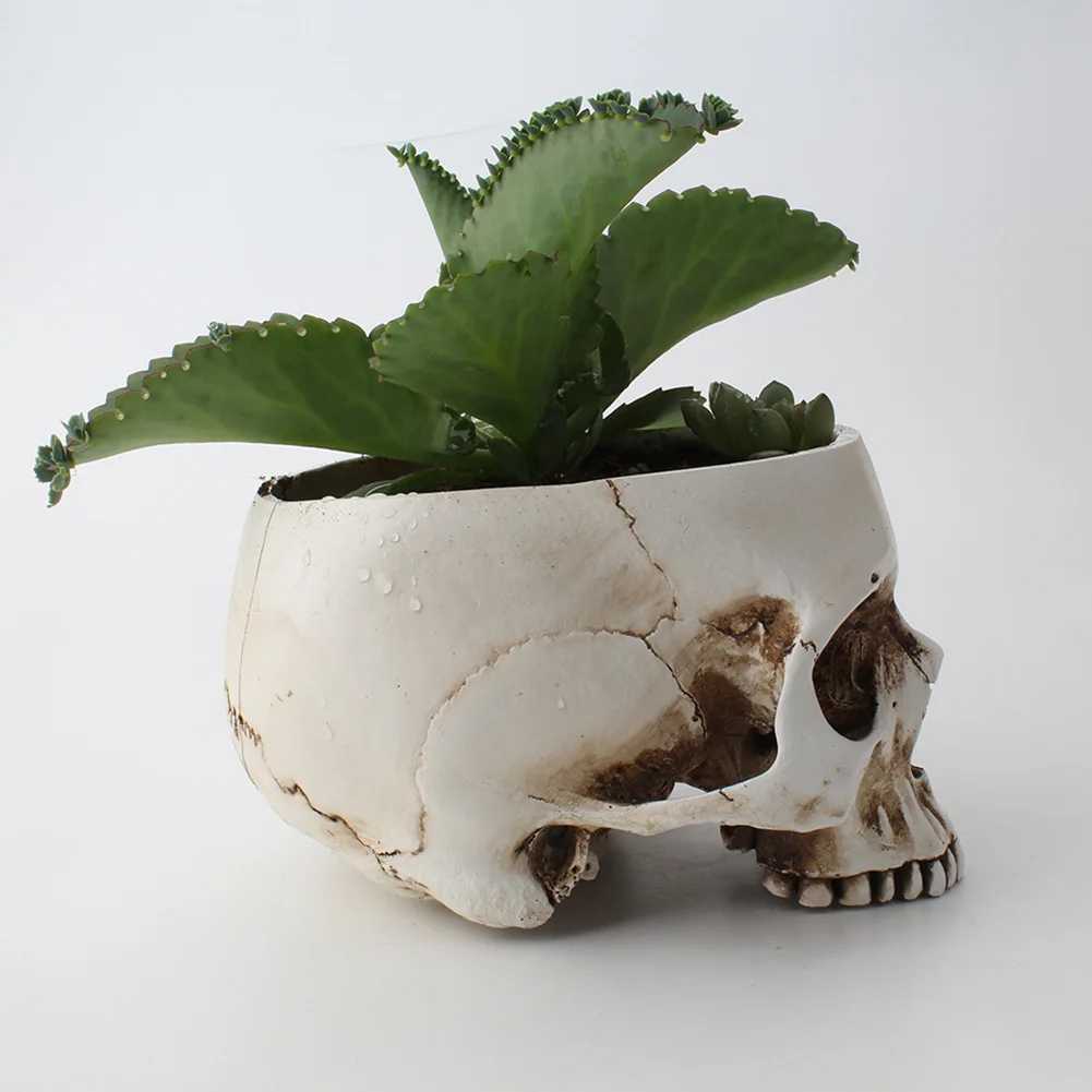 Resin Human Tooth Skull Model Desktop Flower Pot Planter Office Skeleton Craft