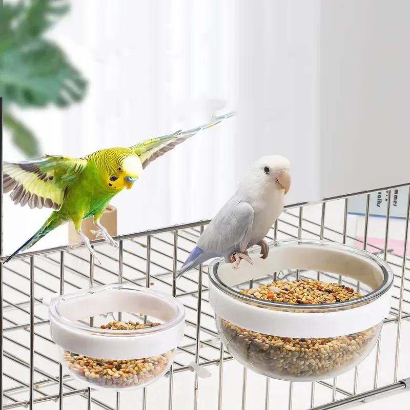 Wholesale Eco Friendly Parrot Pet Supplies Small Round Transparent Bird Food Box Feeder Bowl Water Container
