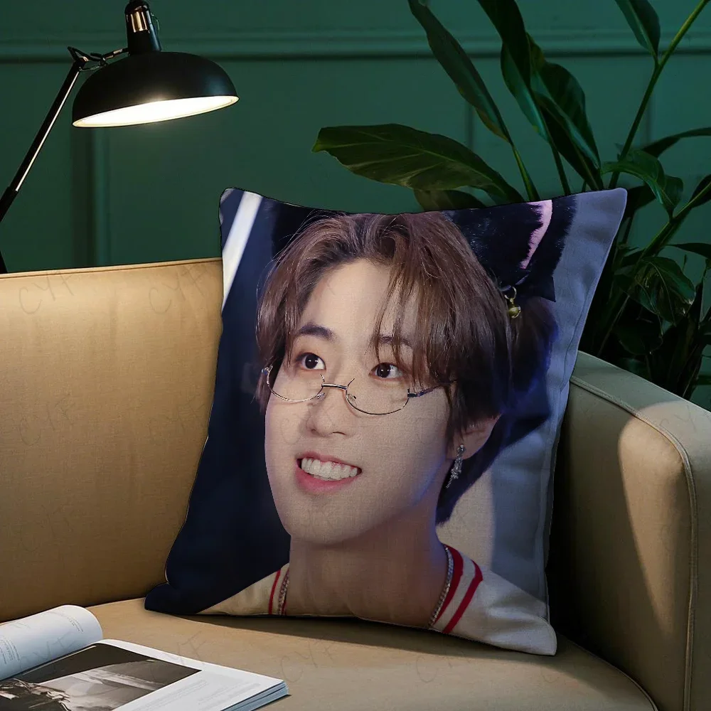 

New Han Jisung Boy Korean male singer Pillow Case Anti-dustmite Pillow Invisible zipper silky short plush Sofa cushion cover