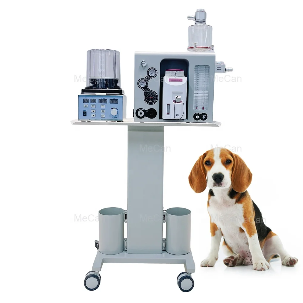Maquina De Medical Equipment Animal Vet Gas Machine Pet Portable Veterinary Machine