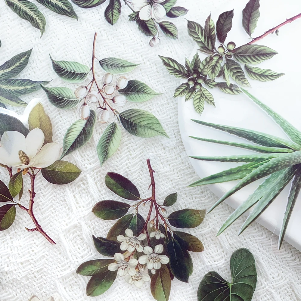 yZ[z50 ΂̐A̗t PET XebJ[fJ[db①ɃM^[wbg DIY IhXebJ[