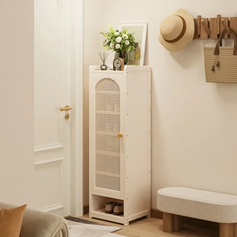 Multi Layer Vertical Door Shoe Cabinet Indoor Dustproof Storage Rack With Drawer Single Door Household Organizer New Design