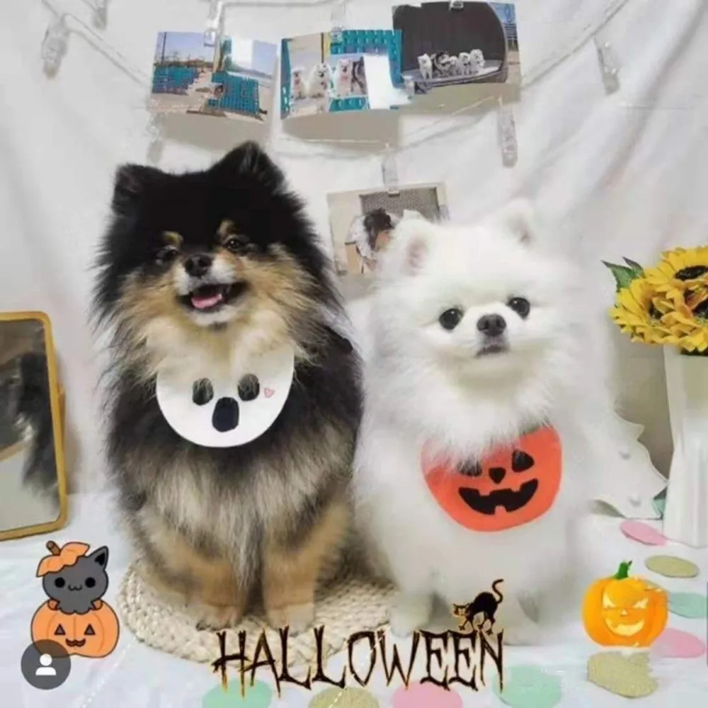 

Cute Ghost Halloween Pet Bib Adjustable Comfortable To Wear Pumpkin Dog Scarf Soft Knitted Kitty Saliva Towel Gift