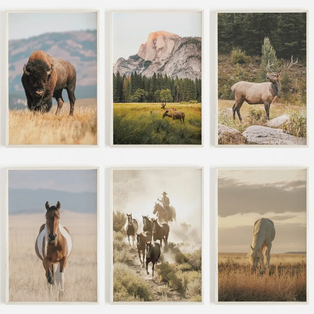 Wildlife Wall Art Western Country Rustic Print Buffalo Bull Elk Cowboy Horse Yellowstone Bison Canvas  Home Decor