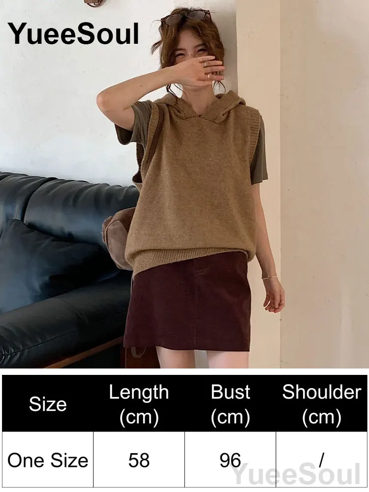 Brown Vest 240