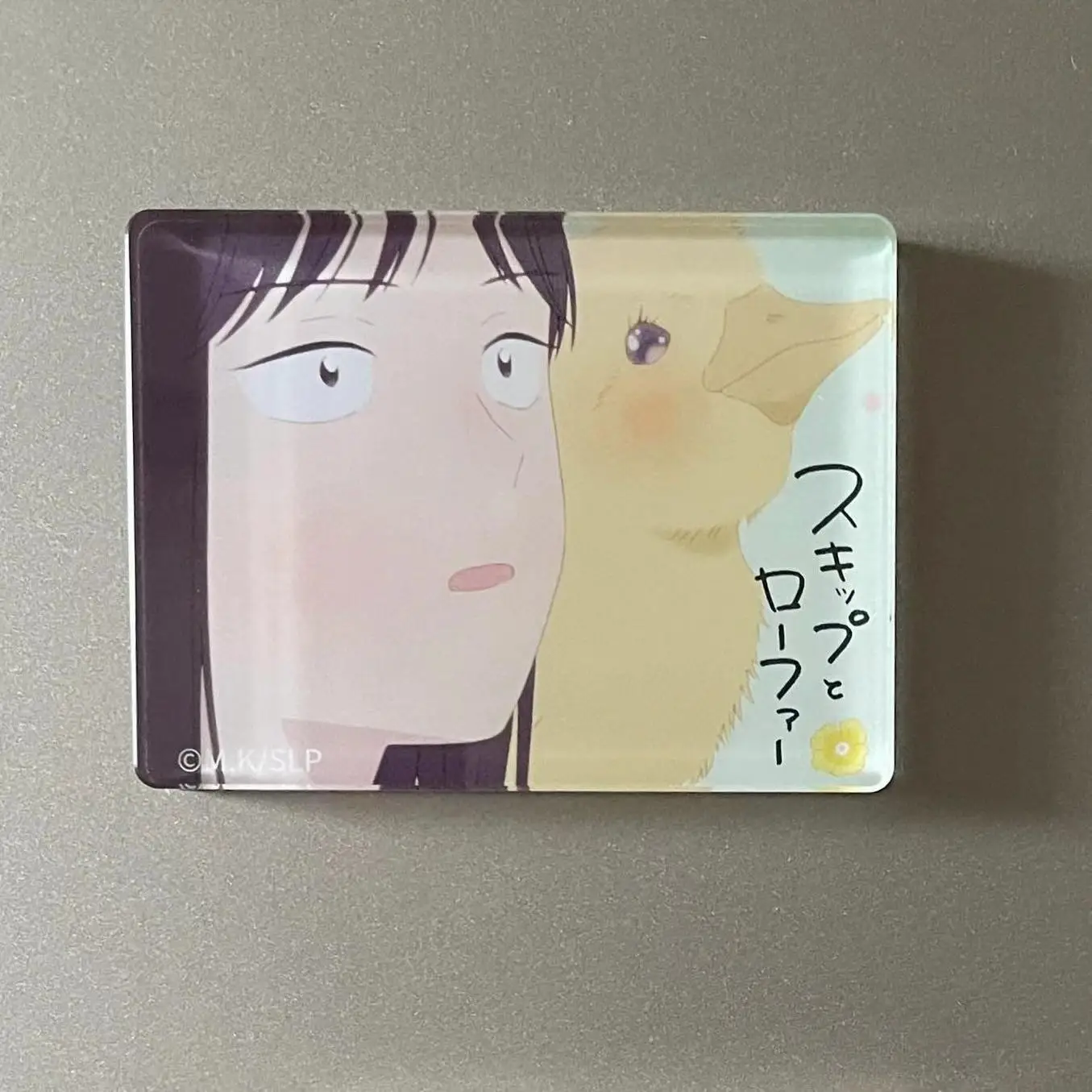 New Jump For Youth Bottle Cap Badge Shima Souseke Iwakura Mitsumi High Value Pin Gift