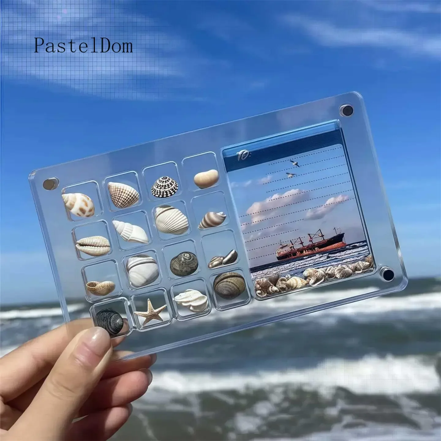 Acrylic Magnetic Display Box, Dual-Purpose Shell Storage & Photo Frame, Mini Collection Case for Conch, Stone & Specimen