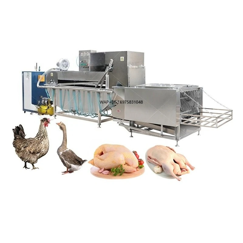Automatic slaughterhouse equipment Halal poultry chicken slaughtering and processing ironing machine for sale