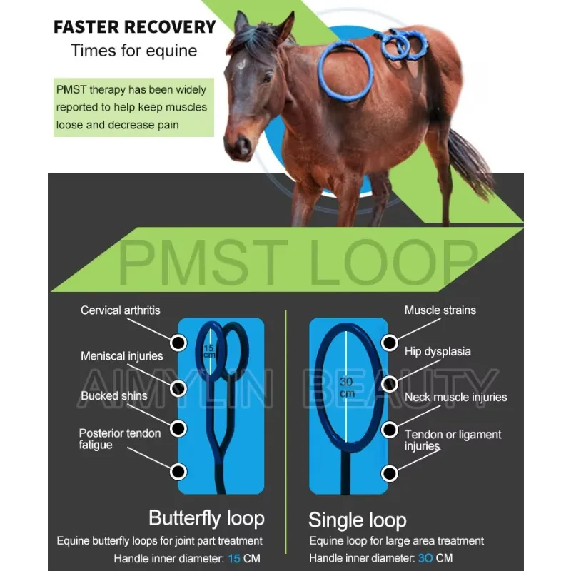 Horse Magnetic Therapy Professional Body Pain Relief Physiotherapy Pemf Pulsed Electro-magnetic Fields Pmst Loop