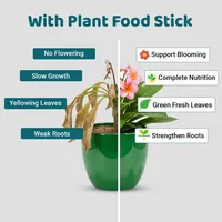 300/18pcs Green Plant Nutrition Sticks Nitrogen Phosphorus Potassium Compound Fertilizer for Vegetables Flowers Healthy Growth 6