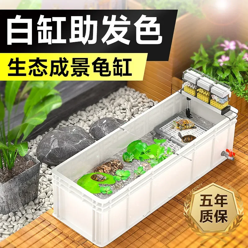 Turtle tank Large turtle feeding Special  Large turtle Fish  mixed culture