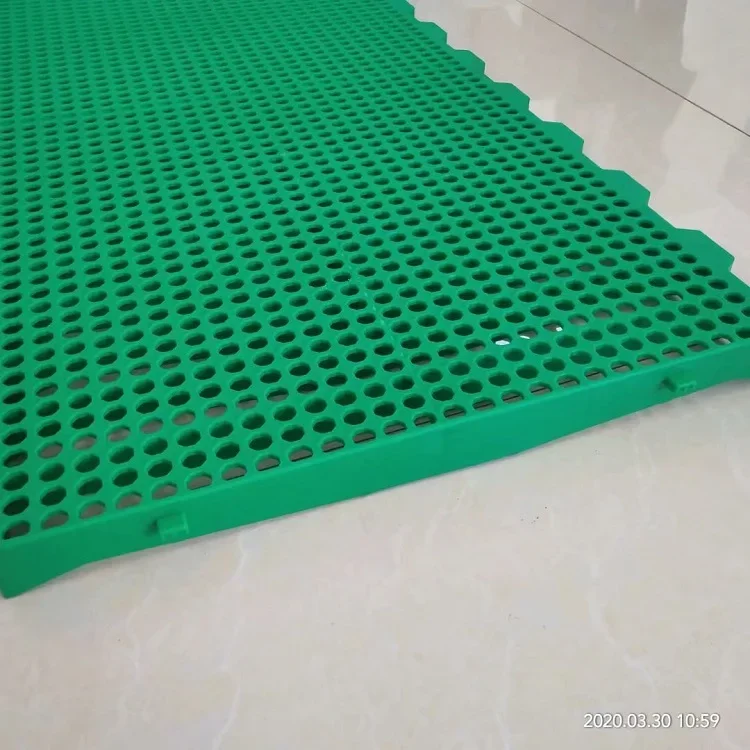 Quail Farm Plastic Slatted Flooring Pigeon Slat Floor Small Hole Size New PP Slat Floor