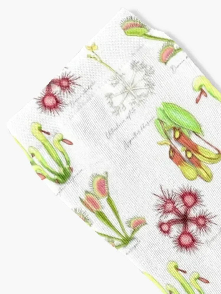 Carnivorous Plants Socks short custom loose Socks Female Men's