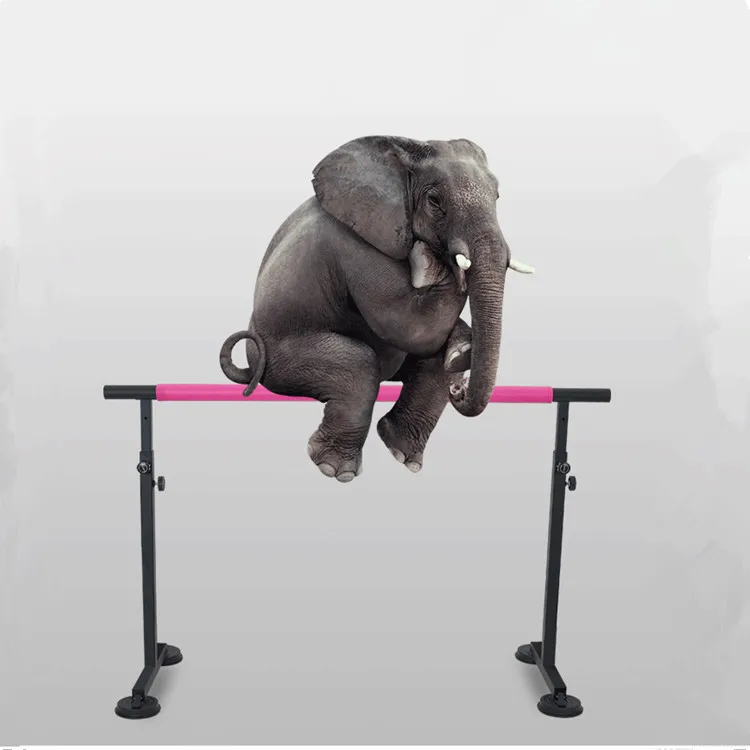 Picture 6: Height Adjustable Portable Ballet Barre Stretch Dance Bar