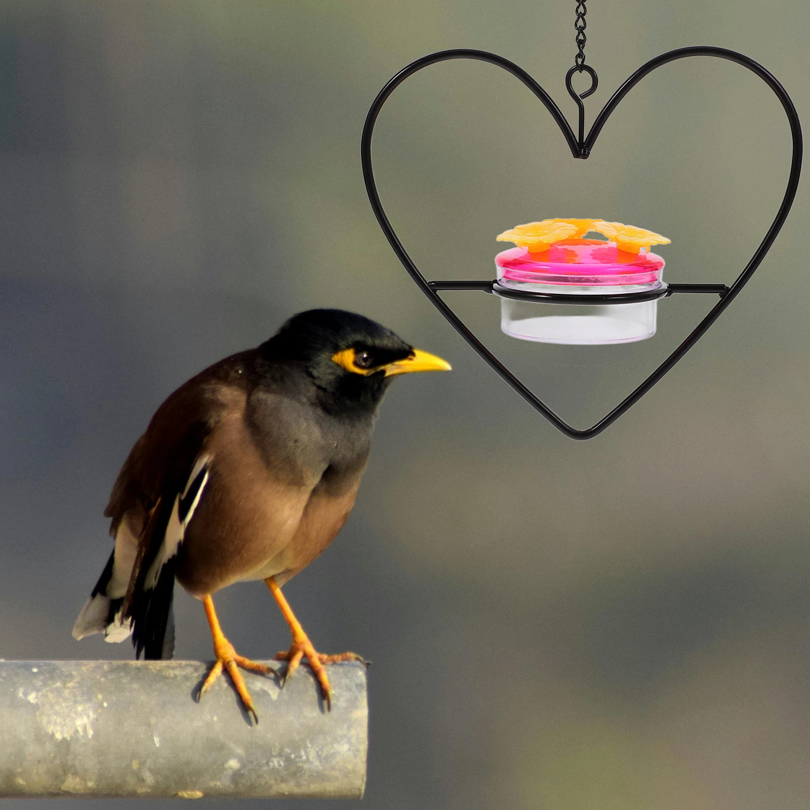 

Garden Hummingbird Feeder Wear Resistant Iron Hanging Bird Water Container for Outdoor Patio Balcony Decoration Use