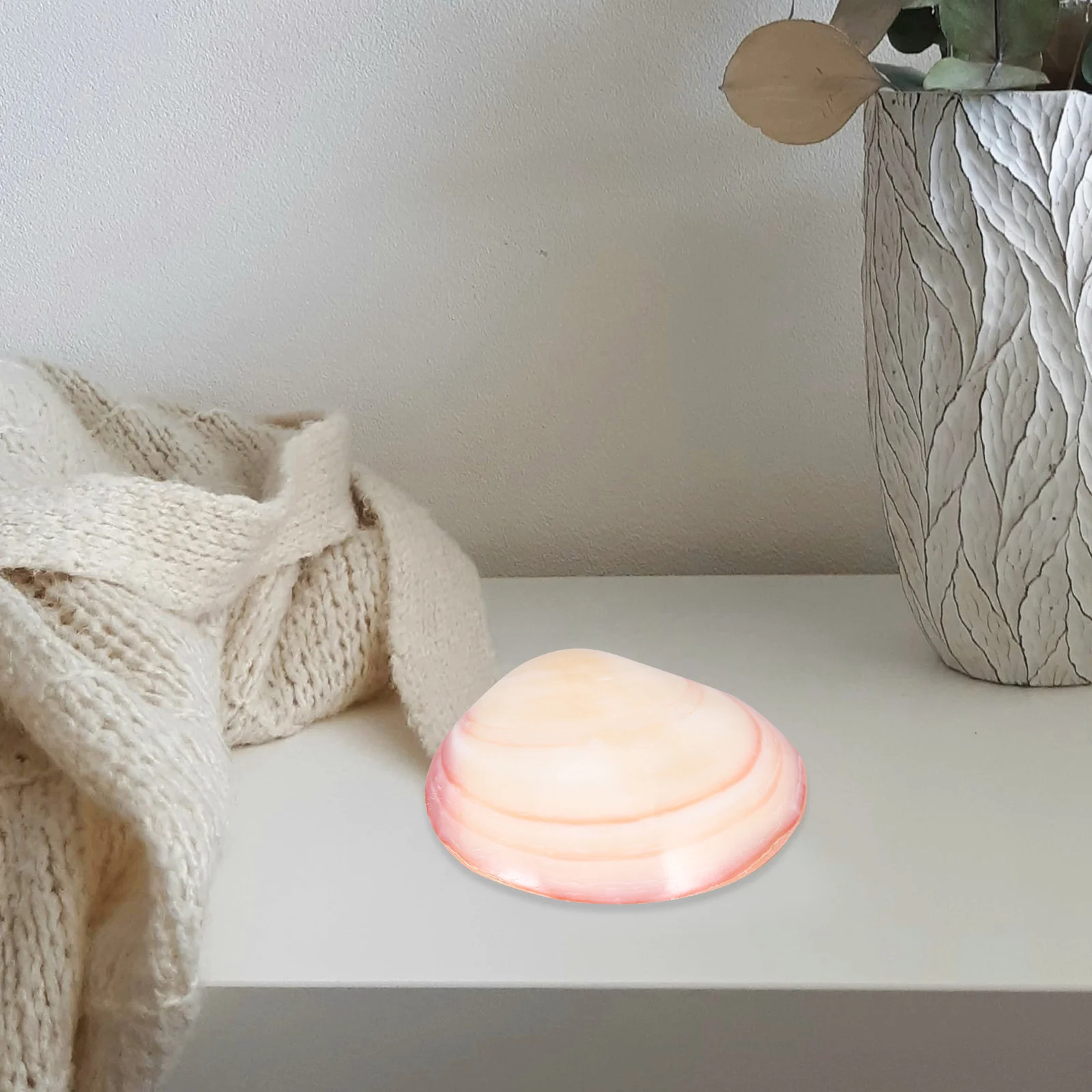 

Alipis Box Vanity Decor Seashell Jewelry Holder Organizer Natural Freshwater Shell Case Decorative Storage for Kids and Adults