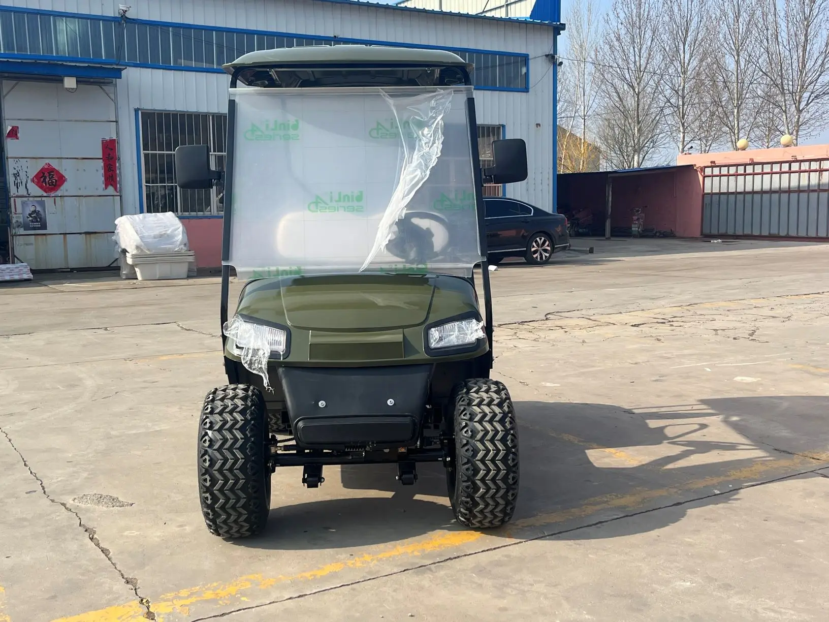 Green 2 Seater Electric Golf Cart with All-Terrain Tires Utility Vehicle for Urban Park Golf Course Community Use