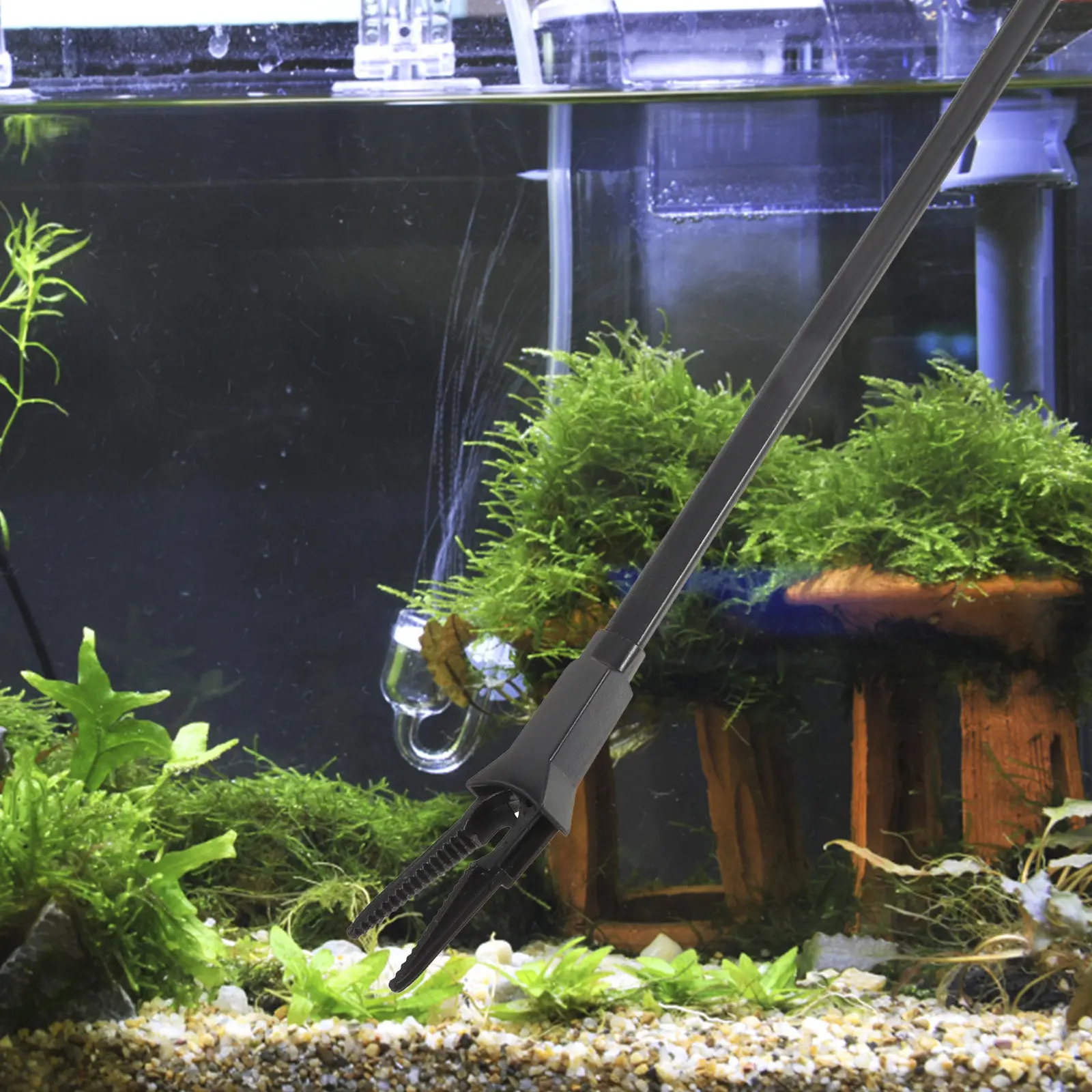 2Pcs Professional Aquatic Twee - Aquarium Fish Long ulasan dan harga