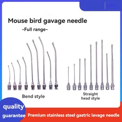 Metal gavage needle, stainless steel gavage tube for young mice and birds, feeding needle tube for young mice and birds