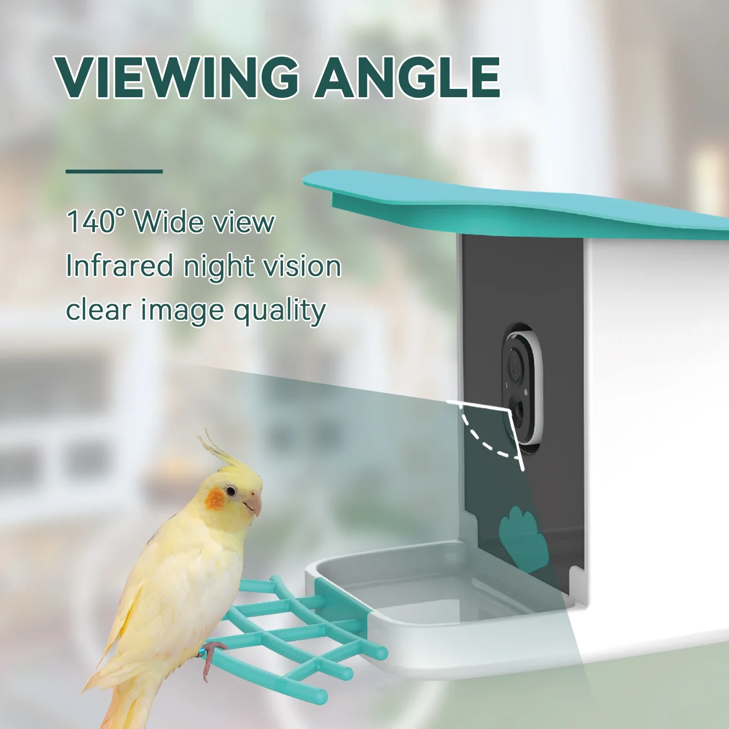 Auto Capture Bird Video And APP Notify Smart Bird Feeder With 1080P Camera