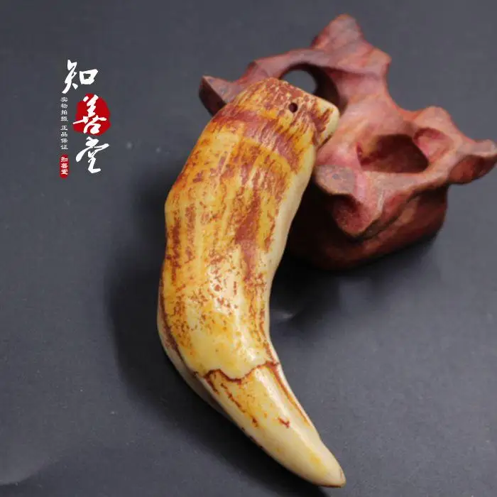 

Imitation tiger tooth big cat tooth pendant pendant animal teeth living room decoration