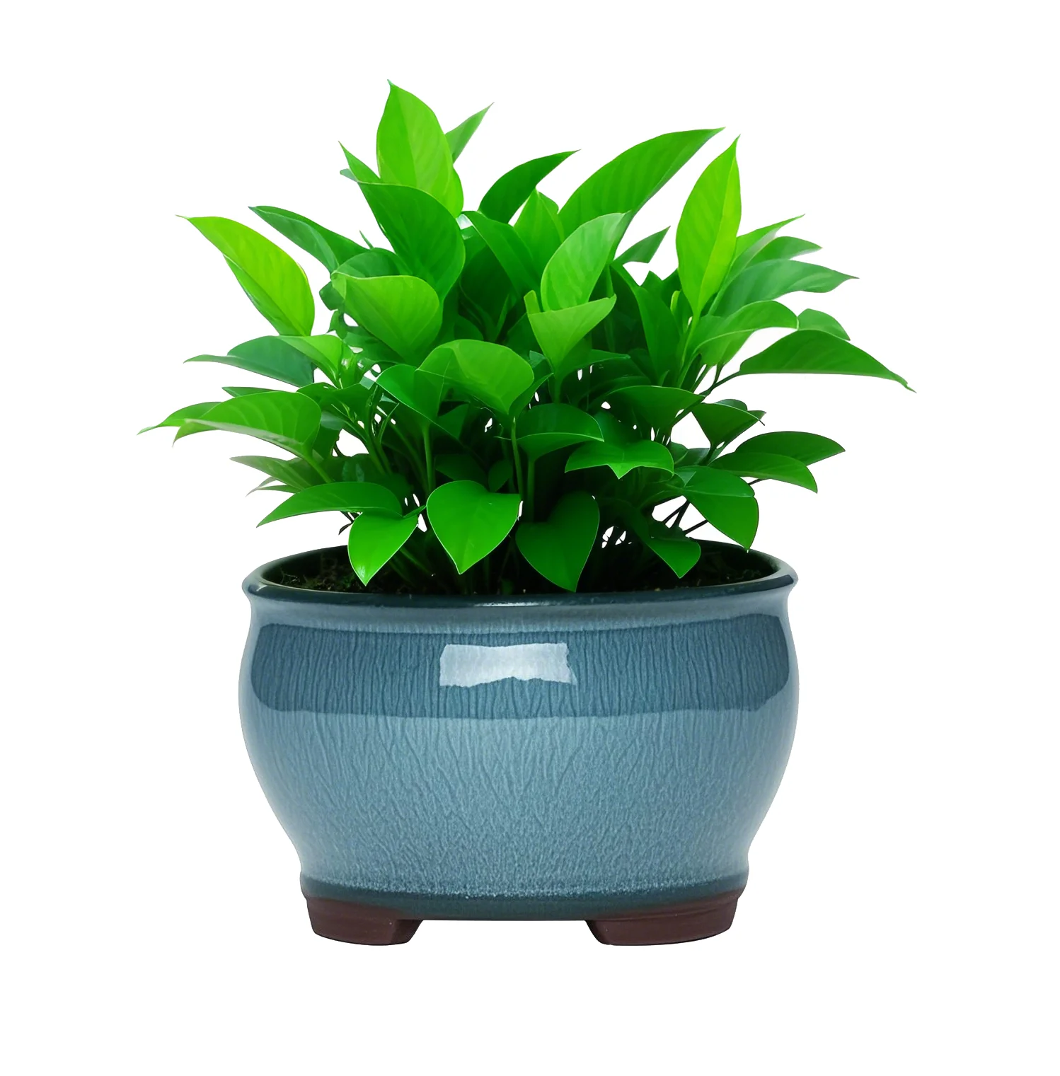 Ceramic Garden Planter Pots Ceramic Plant Pots with Drainage Holes for Indoor Flowers Cactus Herbs Aloes view 5