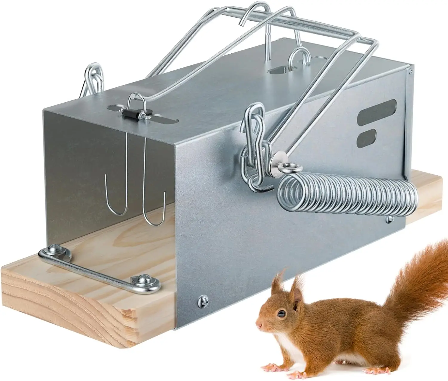 

Heavy-Duty Outdoor Squirrel Trap for Patios and Gardens - 1 Pack