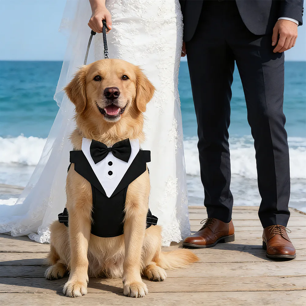 Hochzeits-Hundegeschirr im Smoking-Stil mit Fliege, verstellbare, atmungsaktive Weste mit D-Ring, kein Ziehen, für kleine und mittelgroße Hunde – Detail 19