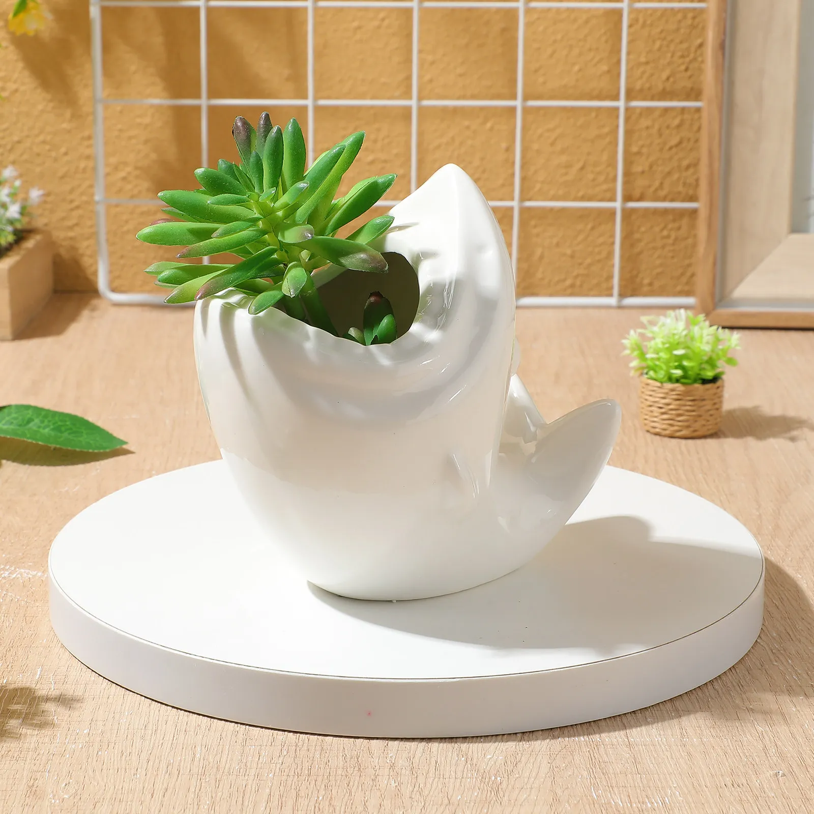 Ceramic Shark Flower Pot Glazed Mini Succulent Cactus Planter for Indoor Home Garden Decor