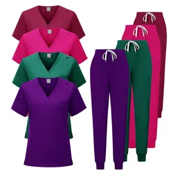 Uniformes Medicos Pet Dentist Nurse Work Clothes Women Medical Care Nurse Uniform Scrubs Medical Uniforms Woman Medical Scrubs