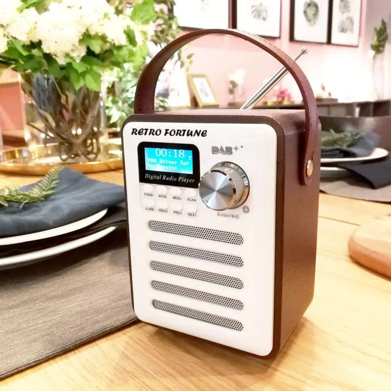 Portable DAB/DAB+ Digital Radio Receiver FM Radio with Bluetooth Speaker Handled USB/TF MP3 Player Support Stations Presetting