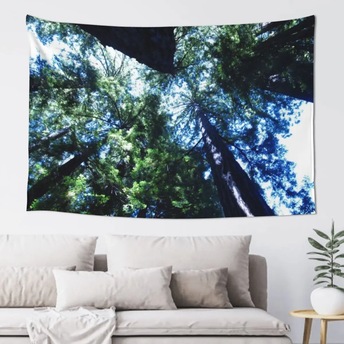 Redwoods from Below Tapestry Aesthetic Home Decor Room Aesthetic Custom Tapestry