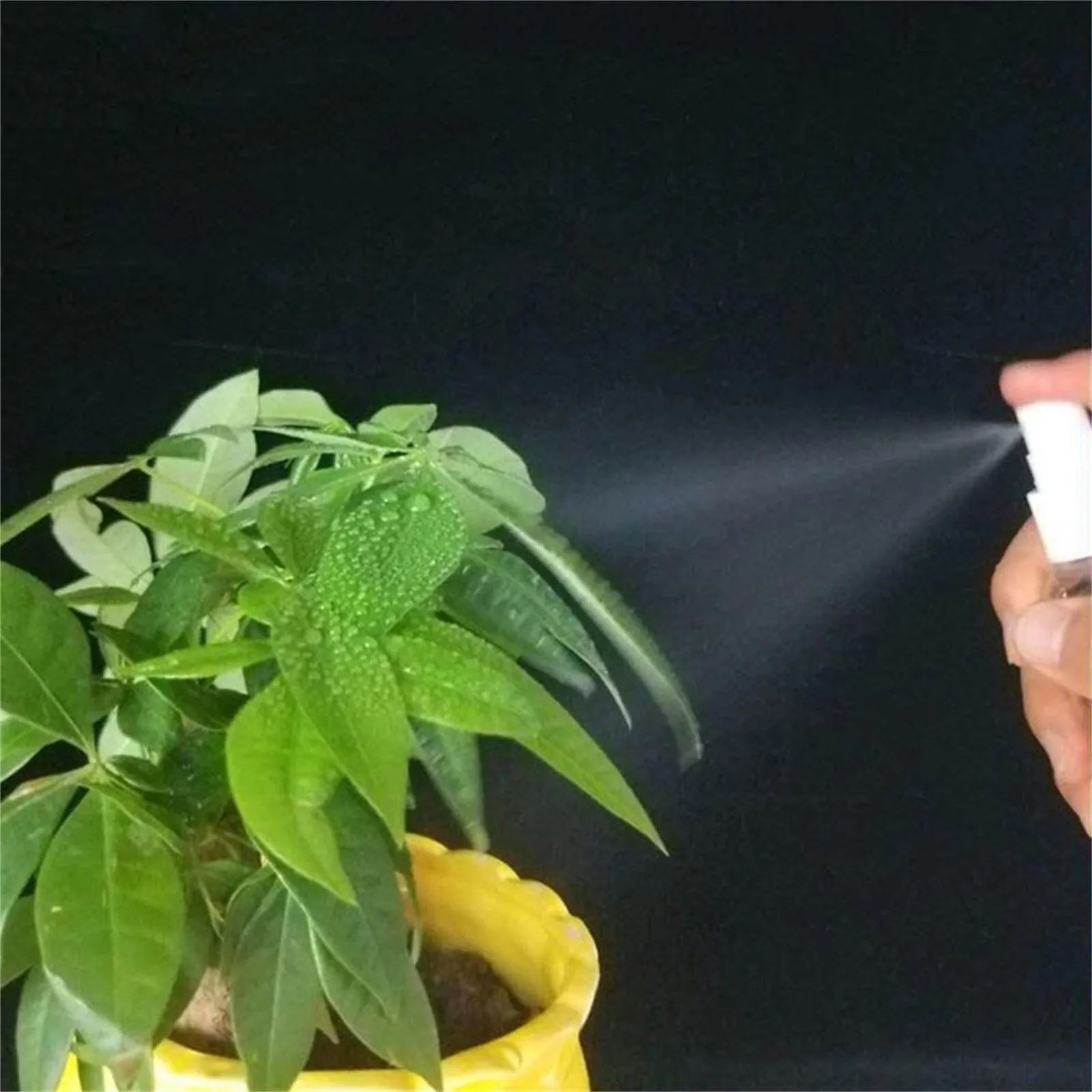 5 pièces 100ML capacité haute pression hydratant récipient vide Transparent en plastique vide vaporisateur bouteille petit vaporisateur