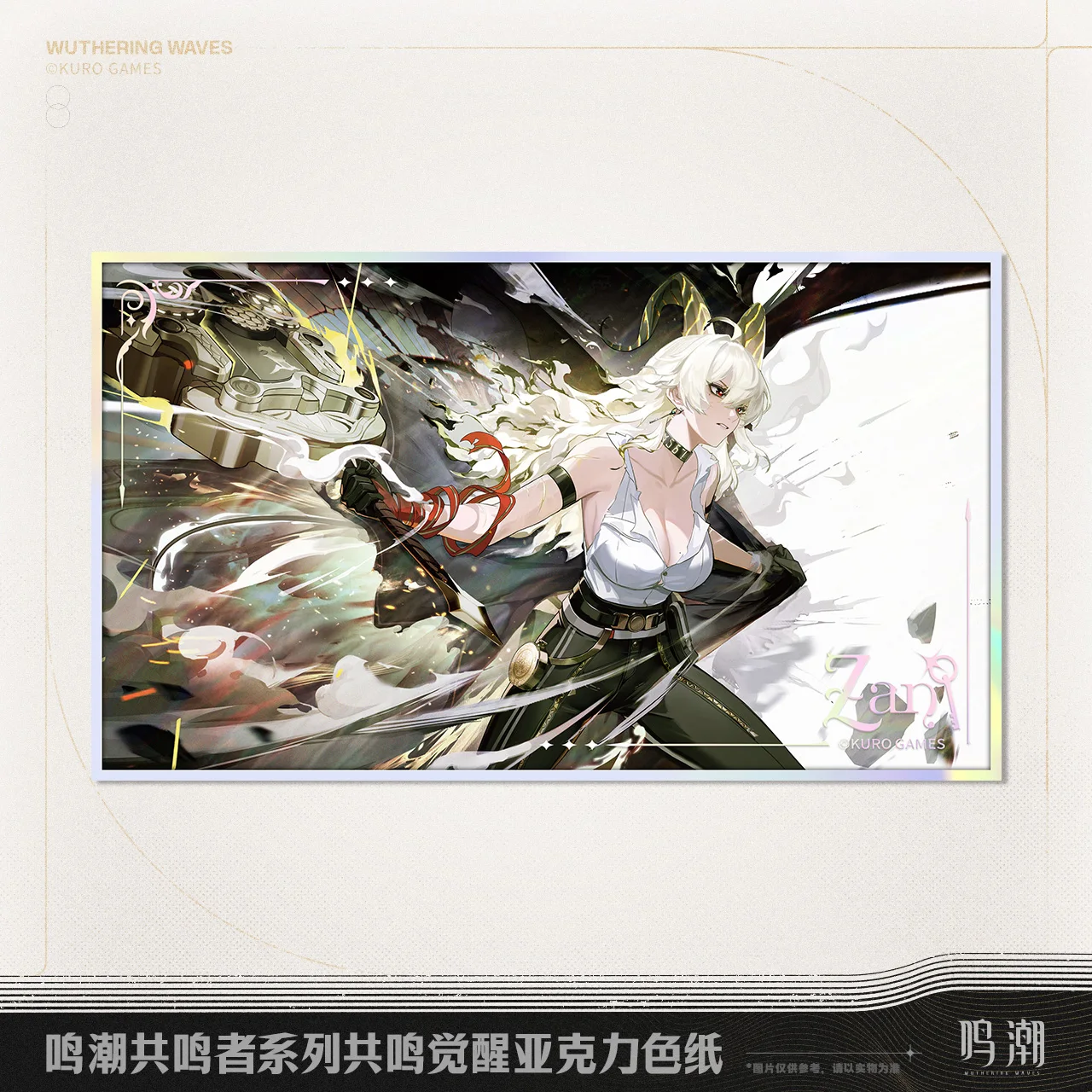 [공식 상품] 재고 있음 게임 위더링 웨이브즈 레조네이터 시리즈 포르테 어웨이크닝! 에코 서몬 자니 치아콘 아크릴 시키시