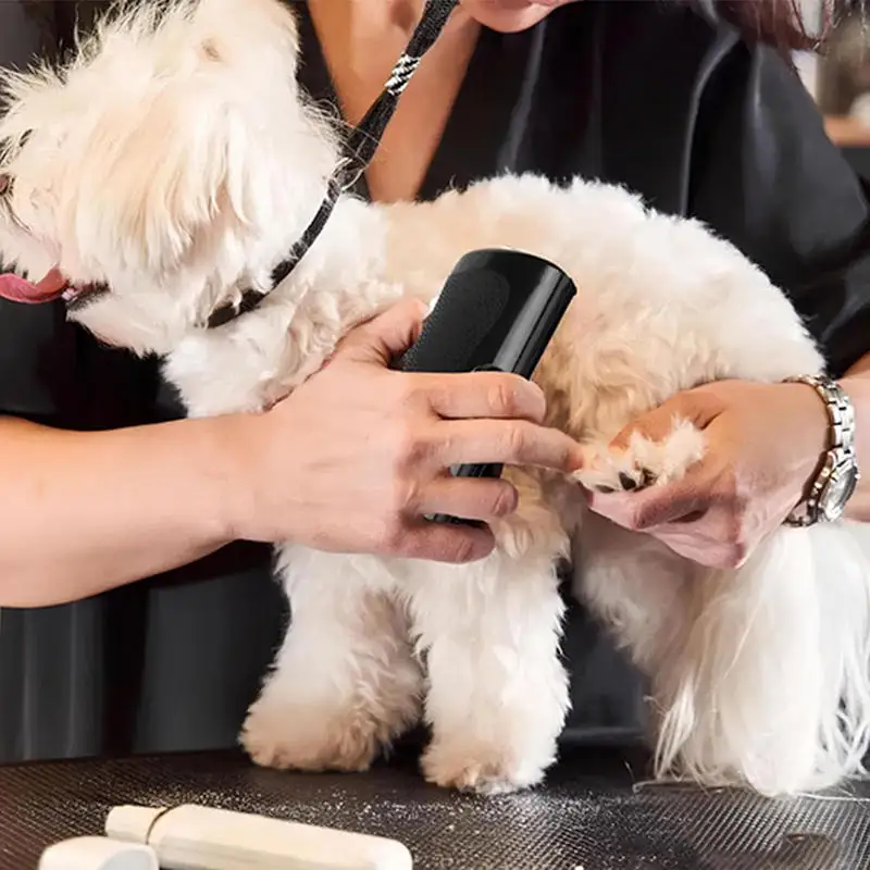 Thumbnail 2 - #40 Trending Dog Grooming Brushes Right Now
