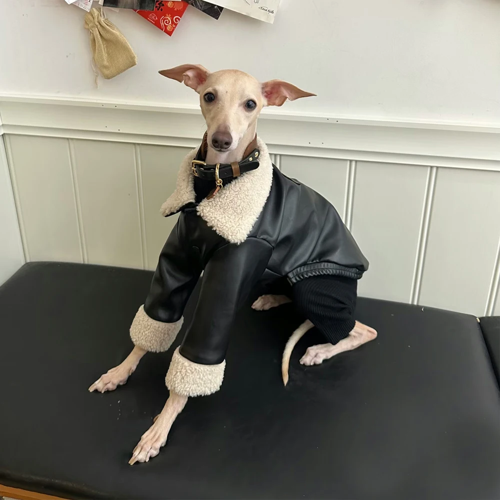 Chaqueta de cuero de invierno con cuello de piel para galgo italiano, abrigo grueso y cálido impermeable a prueba de viento para Whippet Bedlington