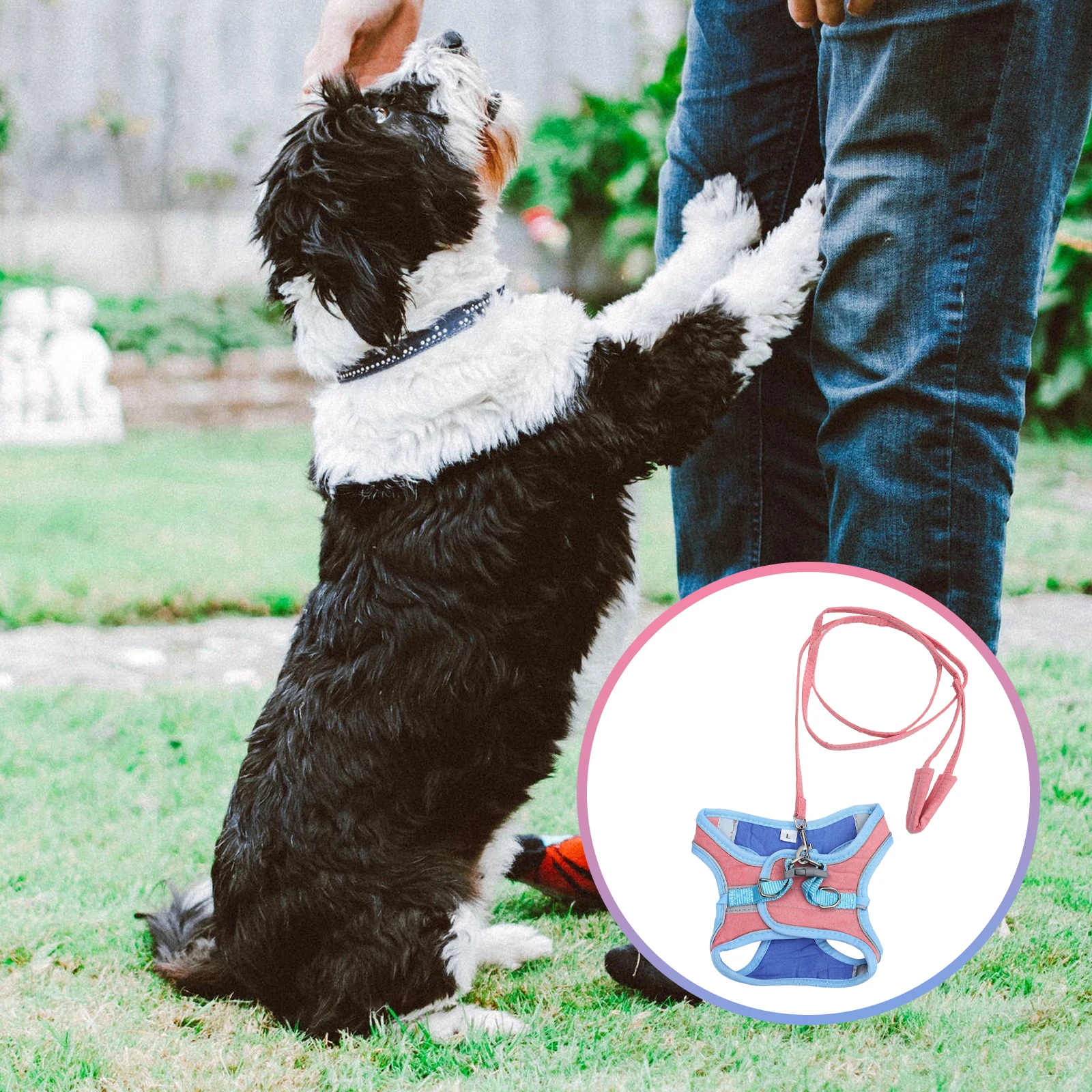 

pet harness vest dog harness vest puppy harness vest cat harness vest kitten harness vest