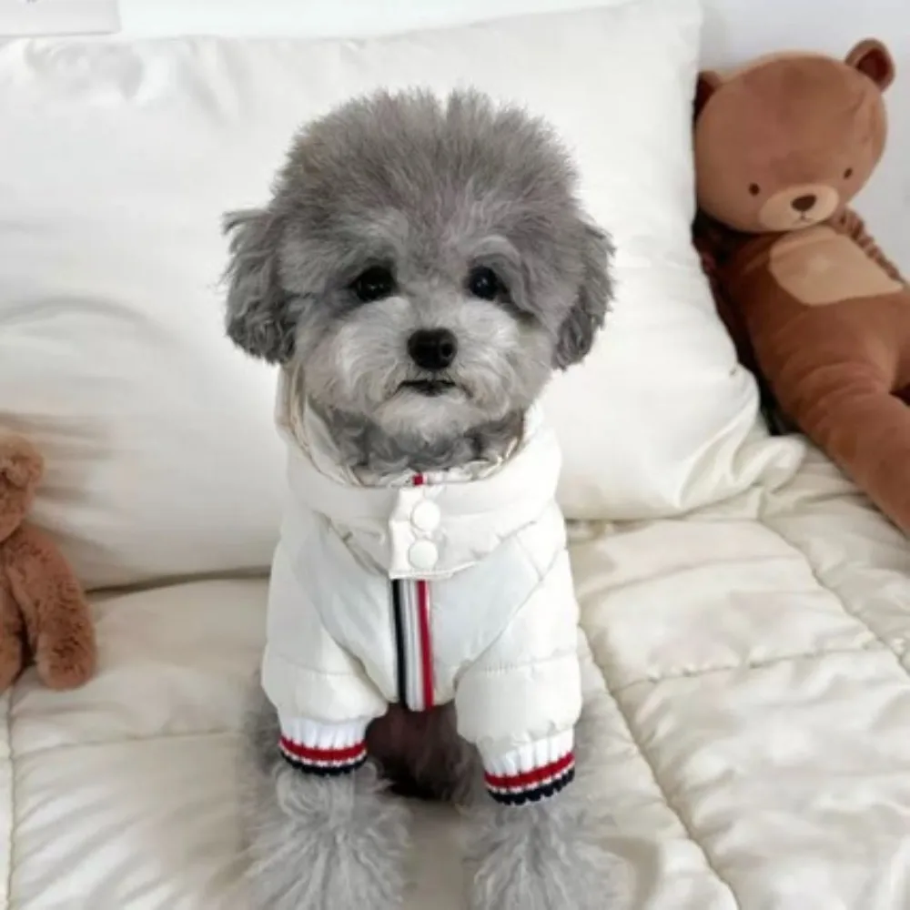 

Зимний пуховик для собак на молнии, теплый комбинезон для домашних собак, пальто для собак с капюшоном и высоким воротом, для маленьких и средних собак