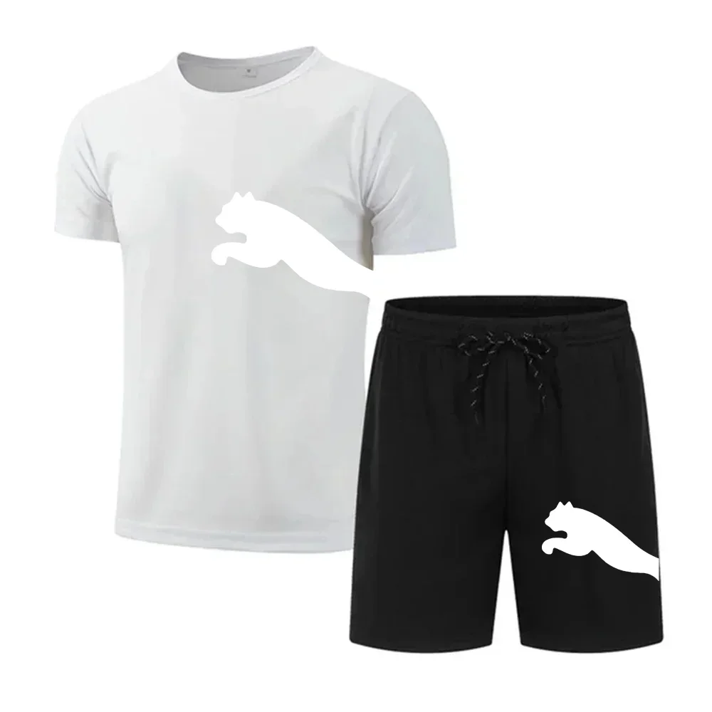 

2025 New men's quick-drying and breathable sportswear set, short-sleeved T-shirt, summer casual fashion, knitted running