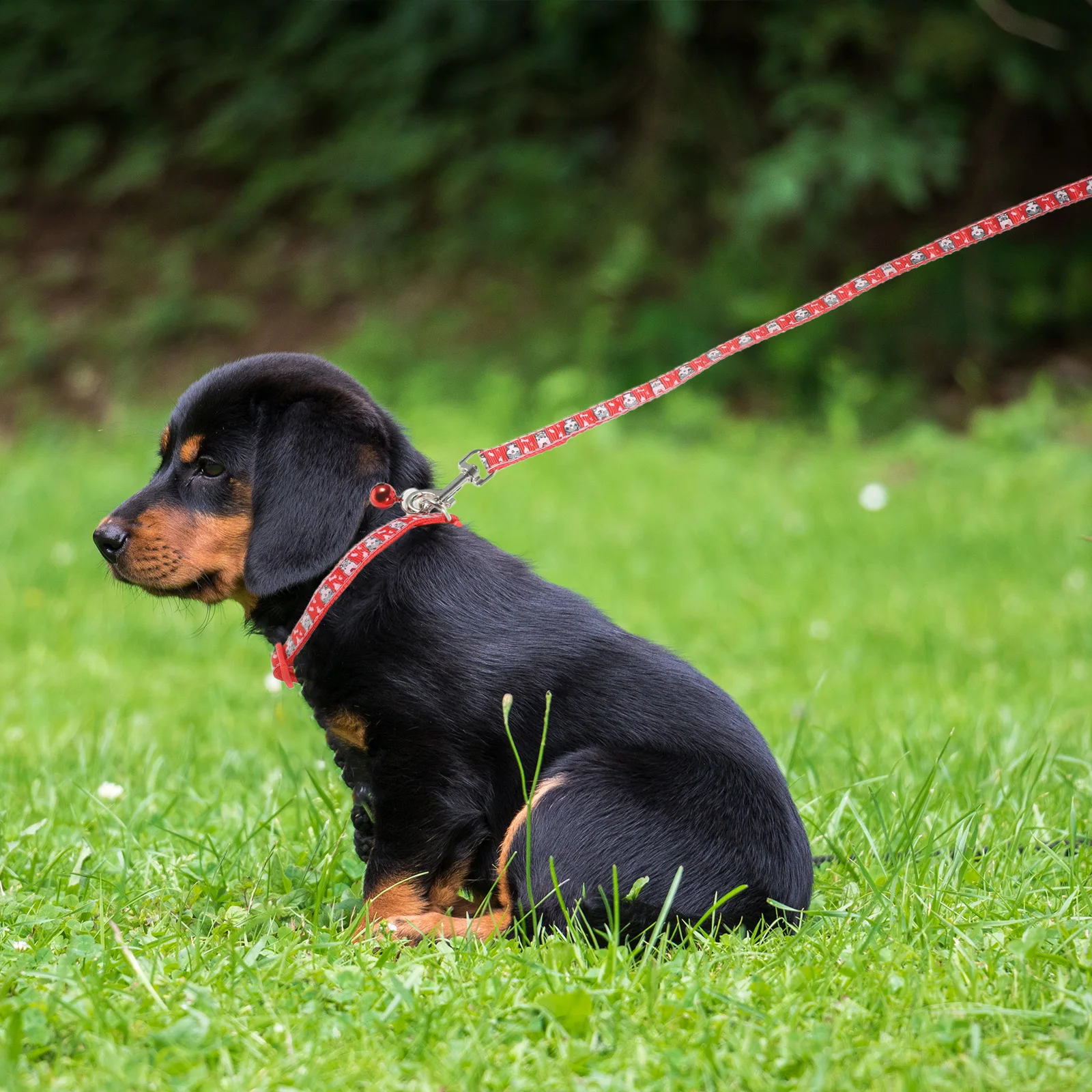 

2pcs Dog Leash For Medium To Large Dogs Heavy Duty Wear-Resistant Polyester Long Training Lead Swivel Snap Rope