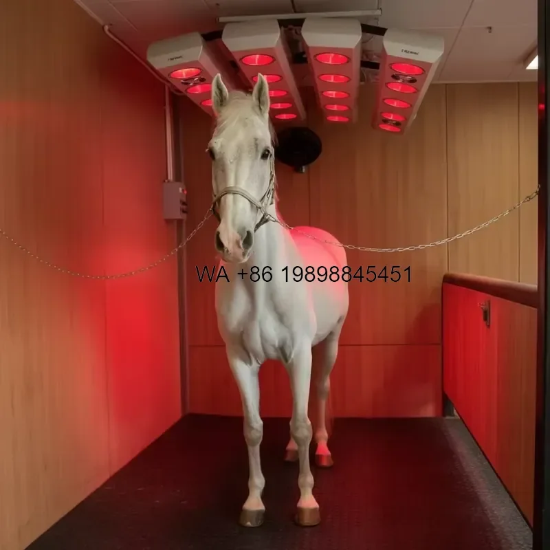 Wmwmnu for Reeds Commercial Horse Solarium Equipment with Intelligent Temperature Control and Infrared Bulbs All Season Horse