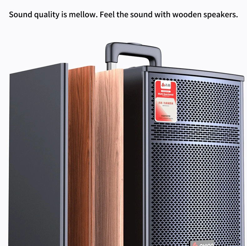 New 2024  Professional o voice box Wooden Box Speaker Sound System DJ box wireless loudspeaker BT+TWS+Mic+RC+Karaoke sets