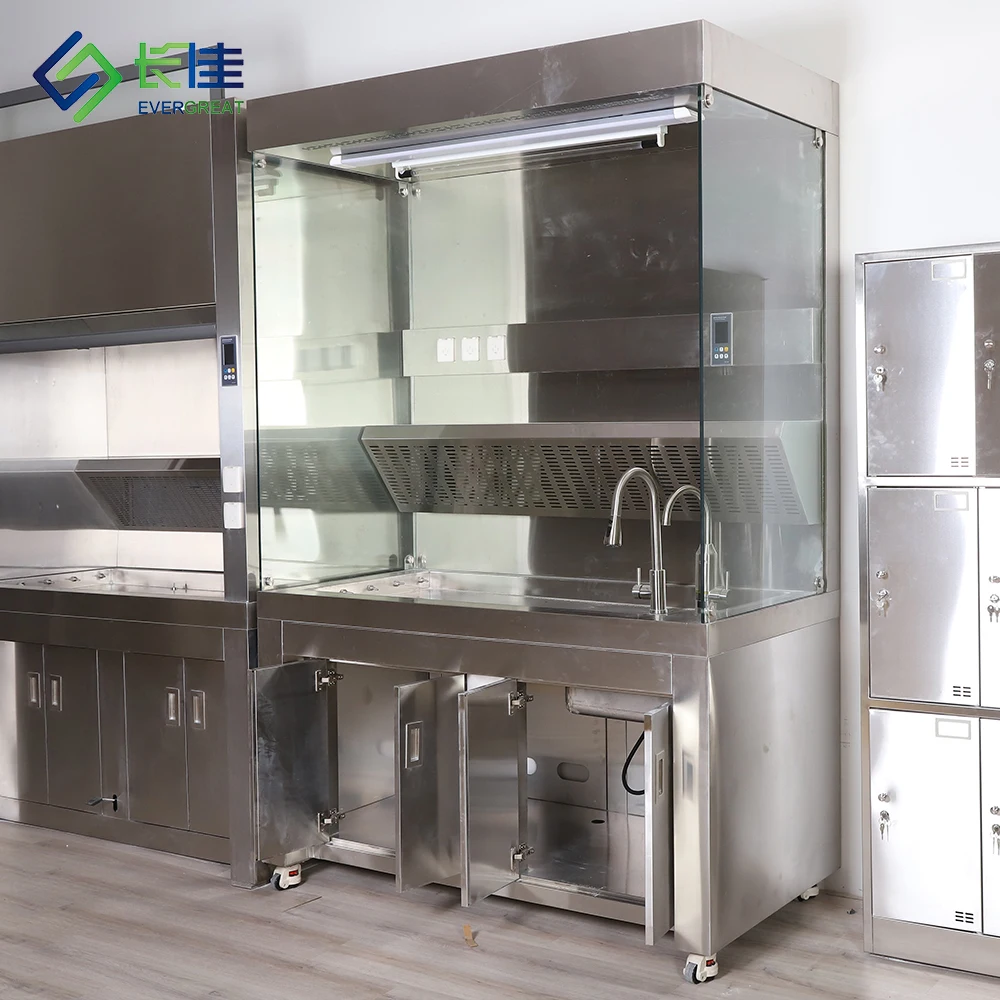 

Evergreat EG-SS04 Simple Design Stainless Steel Fume Hood 5-Year Warranty Modern Laboratory Equipment Cabinet for School