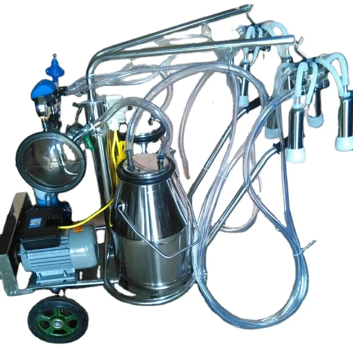 16-20 Cows Automati…