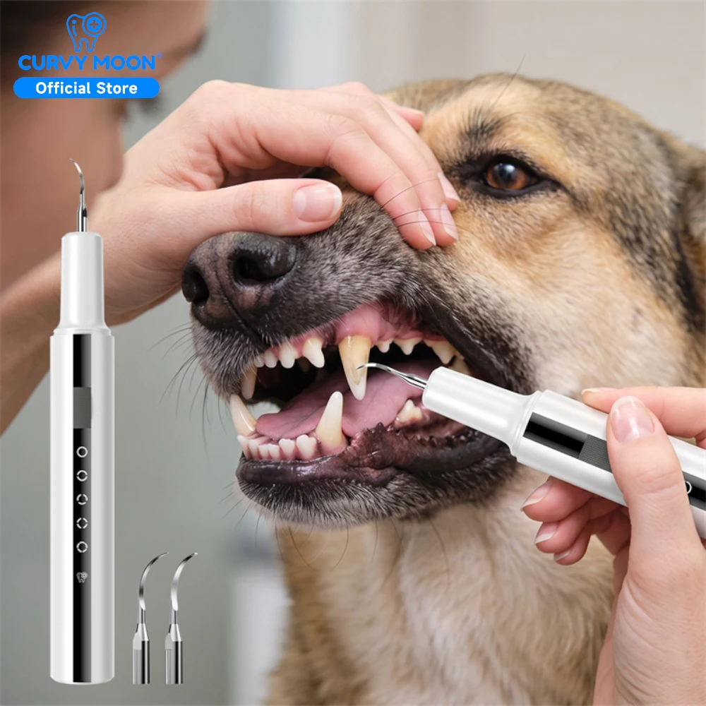 Pet Dental Care Ultrasonic Teeth Electric Cleaner Safe Painless Dental Scaler Dog Cat Use Teeth Tartar Calculus Plaque Removal